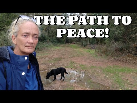 Видео: ПУТЬ К МИРУ!