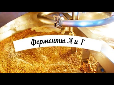 Видео: Зерновая брага с использованием ферментов (Красная схема)