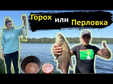 Видео: ГОРОХ или ПЕРЛОВКА? Как позвать крупного леща? Простой фидерный монтаж