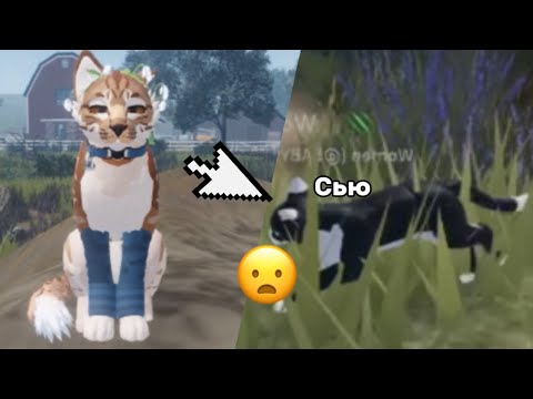 Видео: Я стала СЬЮ в коты воители !!!😦