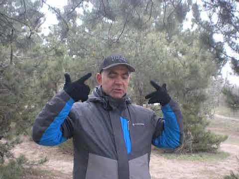 Видео: Вин Чун. Нюансы в практике Siu Lim Tao ( часть 2).