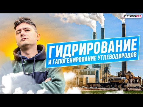 Видео: Углеводородный интенсив | Веб 1: Гидрирование и галогенирование углеводородов | ТурбоЕГЭ
