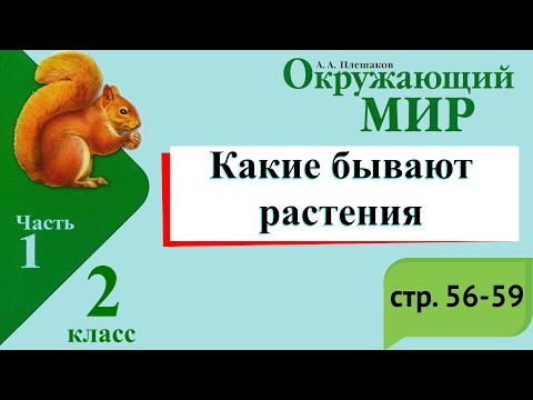 Видео: Какие бывают растения. Окружающий мир. 2 класс, 1 часть. Учебник А. Плешаков стр. 56-59