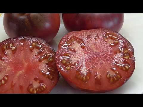 Видео: ТОМАТ "СИБИРСКИЙ ТИГР РОЗОВЫЙ". №323. ПЕРВАЯ ДЕГУСТАЦИЯ. Ольга Чернова.