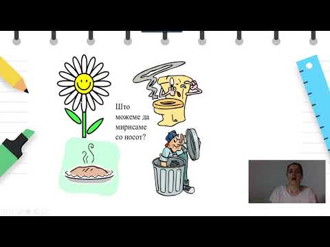 Видео: I Одделение - Природни науки - Сетила