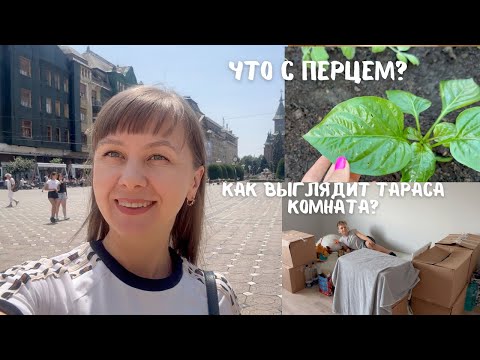 Видео: VLOG: Кто ест мой перец? Большой магазин тканей под Тимишоарой + наконец-то купила водоросли Dulse