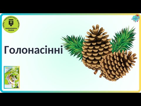 Видео: Голонасінні