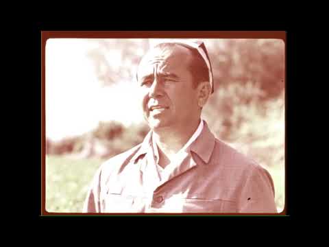 Видео: 7-noyabr, 2025 пахтачи тумани 1979 йил