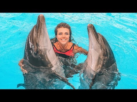 Видео: Купаюсь с огромным слоном и дельфинами на Пхукете. Экзотический Таиланд
