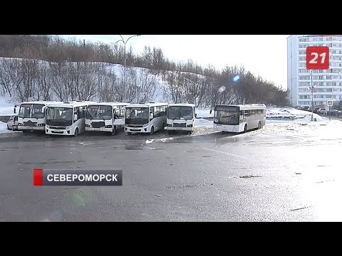 Видео: В Североморске на городские линии вернули большие автобусы