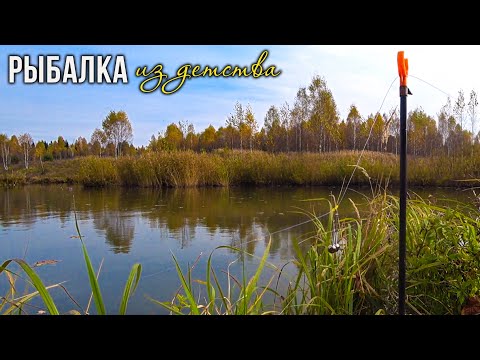 Видео: РЫБАЛКА на РЕЗИНКУ! КРУПНЫЙ САЗАН и КАРП НА РЕЗИНКУ. РЫБАЛКА из ДЕТСТВА. ЛОВЛЯ КАРПА В ОКТЯБРЕ!