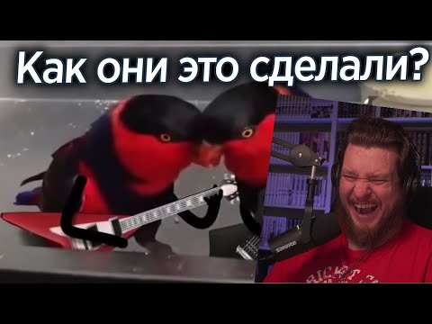Видео: ПОПУГАИ С ГИТАРАМИ И ДРУГИЕ РАЗРЫВЫ ШАБЛОНОВ | РЕАКЦИЯ НА Yuri The Professional