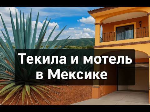 Видео: Текила, агава Чапала и ночёвка в мотеле | Путешествие по Мексике