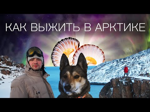 Видео: ТЕРИБЕРКА Как выжить в Арктике? Край Земли | @eto_stories | Это Stories