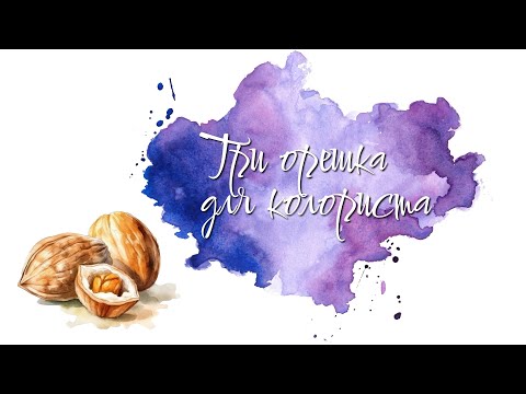 Видео: Три орешка для колориста. Январь 2025
