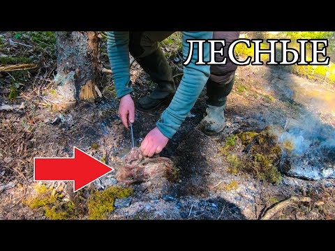 Видео: Дикая кухня - ЗАПЕЧЕННОЕ МЯСО В ЗЕМЛЯНОЙ ПЕЧИ | BUSHCRAFT MEAT COOKING UNDERGROUND |Wild MEAT