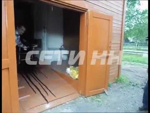 Видео: Жара и человеческое равнодушие привели к чрезвычайной ситуации в морге