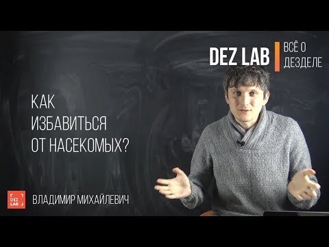 Видео: Как избавиться от насекомых? Не делай ничего пока не ознакомишься с этим видео!