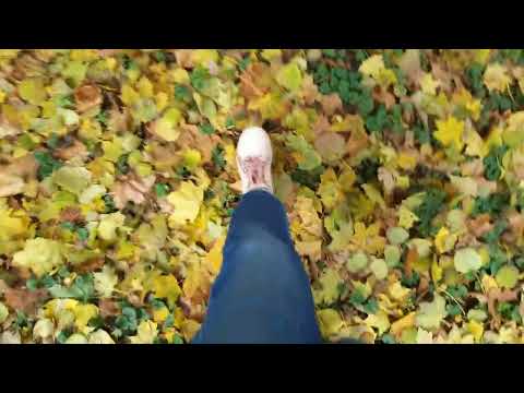 Видео:  Заспокійлива Прогулянка серед природи 🍂 | спокій 🌿  autumn ambience, autumn leaves | slow living
