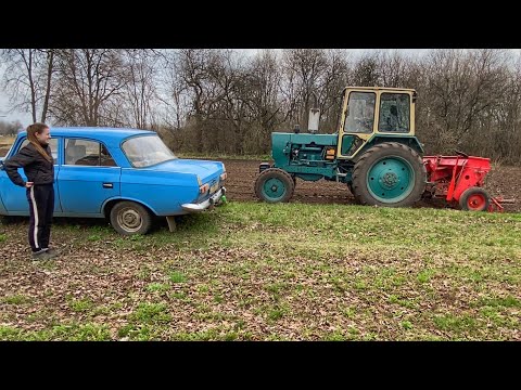 Видео: Сеем ячмень, СЕСТРА помогает, ЮМЗ-6 с навесной сеялкой