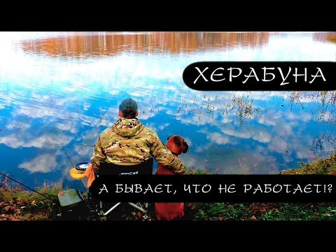 Видео: Братан! Это ФИАСКО?!