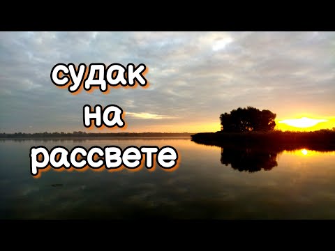 Видео: Ловля судака на джиг