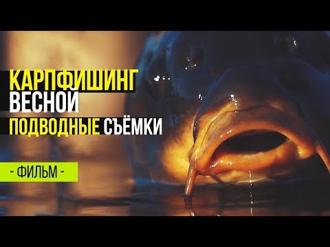 Видео: Карпфишинг весной. Подводная съемка. Ловля карпа на бойлы