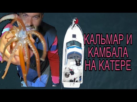 Видео: Вёдра кальмара и камбалы! Рыбалка на катере!