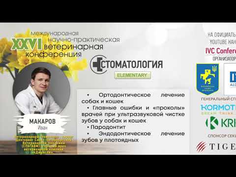 Видео: Ортодонтия в ветеринарии: Иван Макаров | IVC based 2020