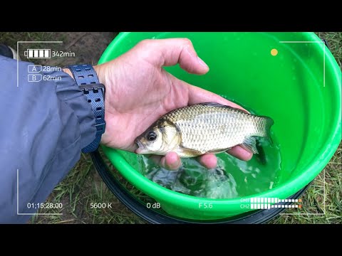 Видео: Первый Дубненский турнир по мормышингу