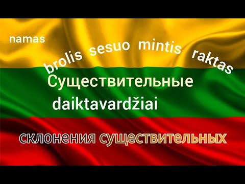 Видео: Литовский язык  🇱🇹5.1 Daiktavardžiai.  Имена существительные.  Склонения существительных