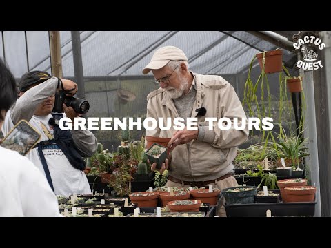 Видео: Экскурсия по Институту сфероидов (Стивен Хаммер) и коллекции Юргена Мензеля с Коно Тадаёси