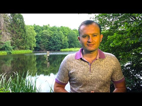 Видео: КАК ВАШЕ МЫШЛЕНИЕ ВЛИЯЕТ НА ВАШУ ЖИЗНЬ? СИЛА МЫСЛИ!