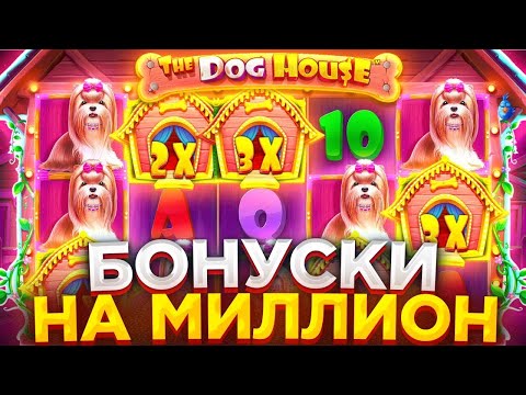 Видео: ВЫБИЛ БОНУСКИ ПО СТАВКЕ 5000р В СЛОТЕ The Dog House Megaways / СЛОВИЛ ЗАНОС В ДОГ ХАУС ?