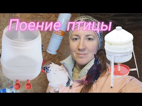 Видео: В КУРЯТНИКЕ : с новой поилкой жизнь станет проще, секрет теплой подстилки в курятнике, канал мужа