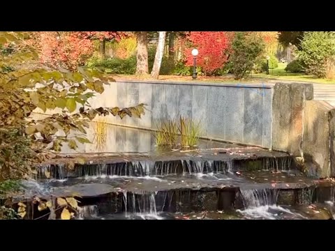 Видео: Хто сказав що Осінь повинна бути сумна.