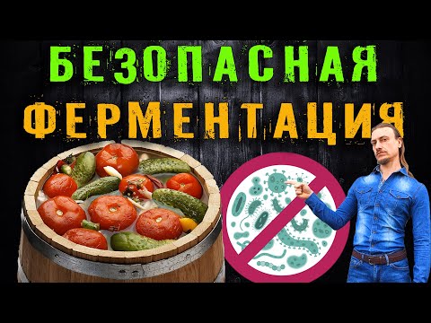 Видео: Безопасная ферментация