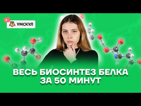 Видео: Весь биосинтез белка за 50 минут | Биология 10 класс | Умскул