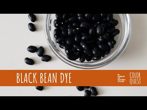 Видео: КАК СДЕЛАТЬ НАТУРАЛЬНЫЙ КРАСИТЕЛЬ ИЗ ЧЕРНОЙ ФАСОЛЫ | ОРГАНИЧЕСКИЙ КРАСИТЕЛЬ | СИНИЙ