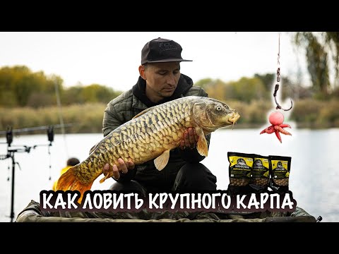 Видео: КАК ОТСЕЧЬ МЕЛКУЮ РЫБУ И ЛОВИТЬ ТОЛЬКО КРУПНУЮ! Рыбалка на карпа 