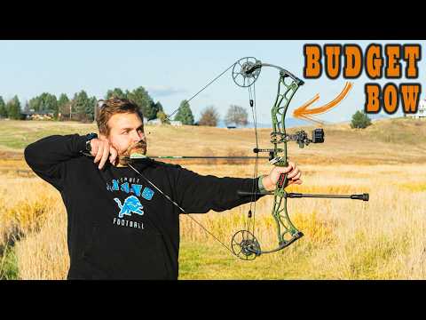 Видео: Бюджетный лук, который стоит посмотреть — Darton Consequence 31