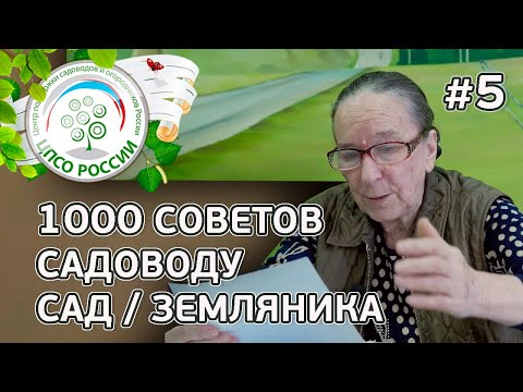 Видео: Обработайте сад весной от коккомикоза и монилиоза. Ответы на вопросы по уходу за садом и земляникой.