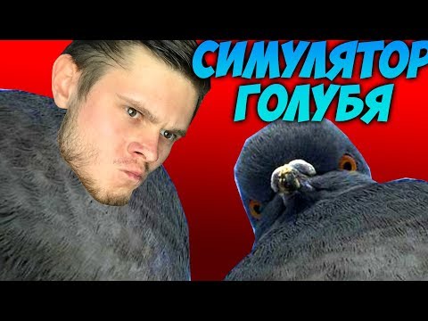 Видео: СЛОЖНАЯ ЖИЗНЬ ОДНОГО ГОЛУБЯ \\ Симулятор Голубя