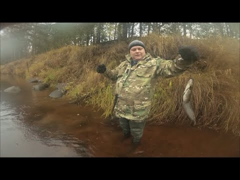 Видео: Ну вот НАЛИМ проснулся. Удачная получилась рыбалка . ловим на донки.