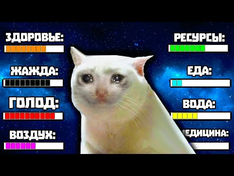Видео: ВЫБРОСИЛ КОТИКА В КОСМОС
