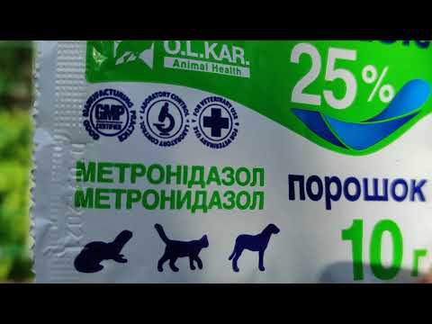 Видео: Методики профилактики и лечения основных инфекционных болезней голубей с возможностью пересылки Ч1