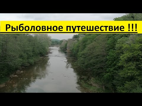 Видео: Прогулка по горным рекам