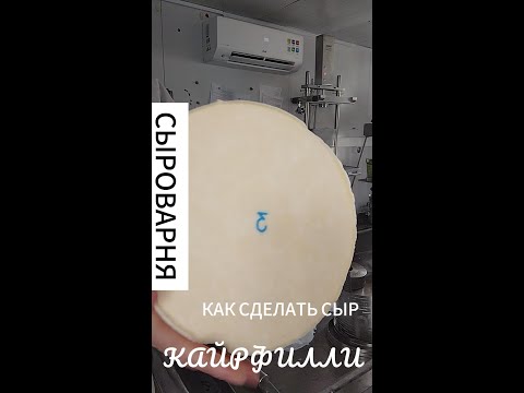 Видео: Сыр НЕ из творога? РАЗБОР 4 ключевых ошибок новичков! | Про зерно, прессовку и почему БЕЗ перчаток?