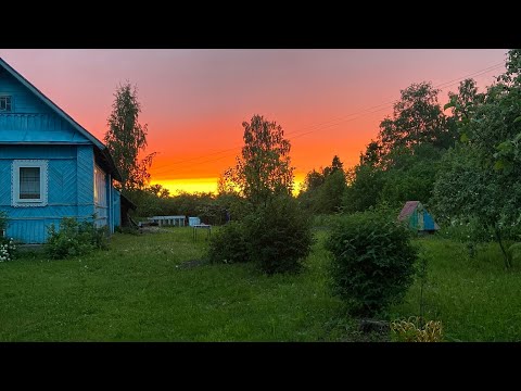 Видео: Один день из жизни в деревне/ Псковская область/ деревня  Запесенье 🌸🚤🐟🐠🪰🦟