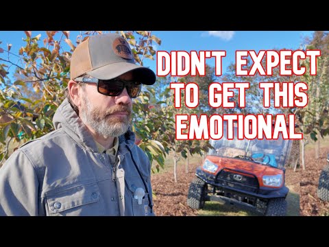 Видео: Как что-то столь маленькое может значить так много!